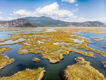 Dalyan Fotos