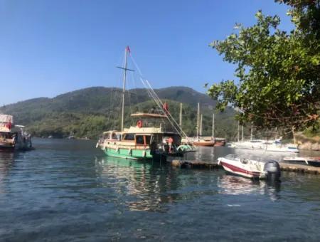 Dalyan Boat Tour - Dalyan Blue Nest