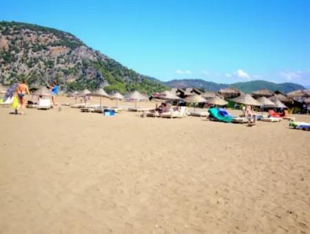 Iztuzu Turtle Beach Tour