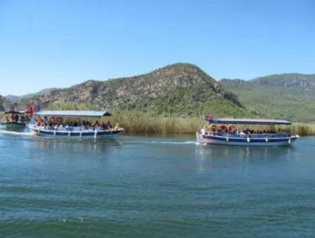 Köyceğiz Lake Boat Tour